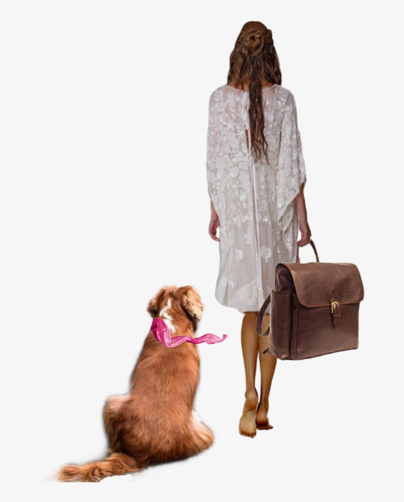 Companion Dog, transparent png download