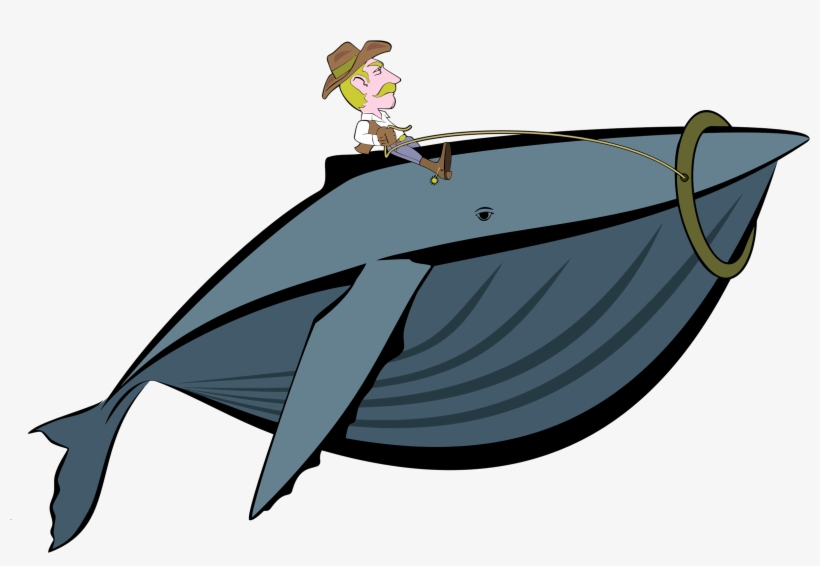 Big Image - Cowboy Whale, transparent png download