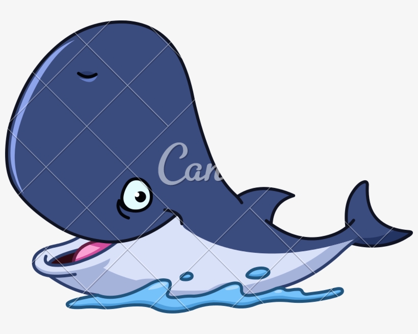 800 X 574 2 - Happy Whale Cartoon, transparent png download