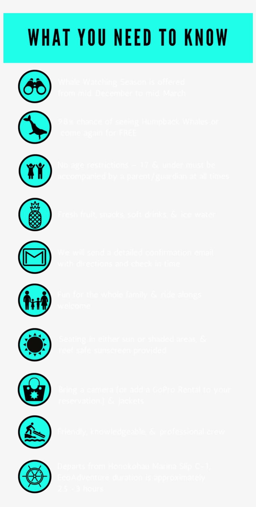 Whatyouneedtoknowkdea - Whalewatch, transparent png download