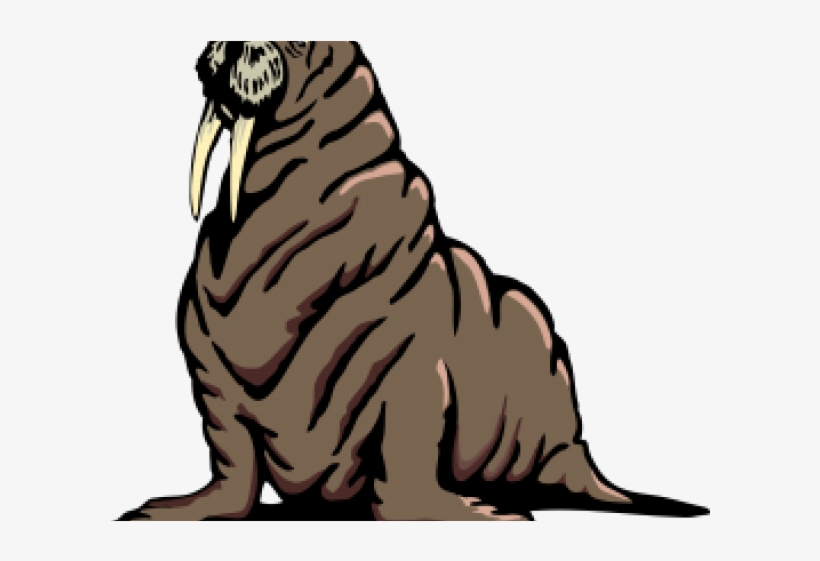 Morsa Png, transparent png download