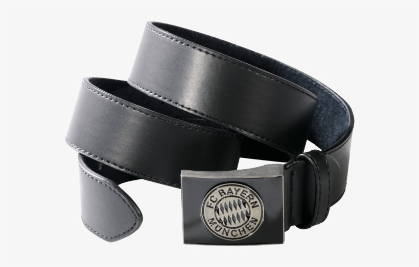 Belt, transparent png download