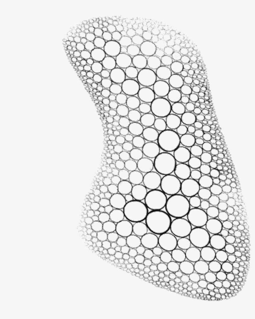 Report Abuse - Drawing, transparent png download