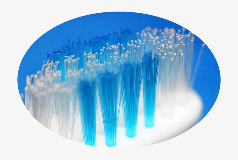 Color Bristle Toothbrush - Bristles On A Toothbrush, transparent png download