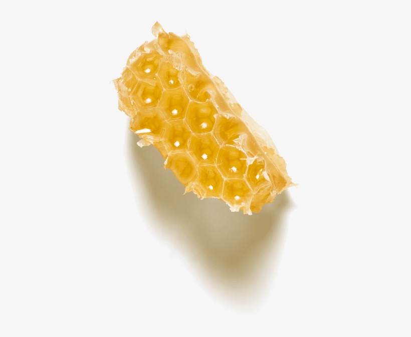 Images - Candied Fruit, transparent png download