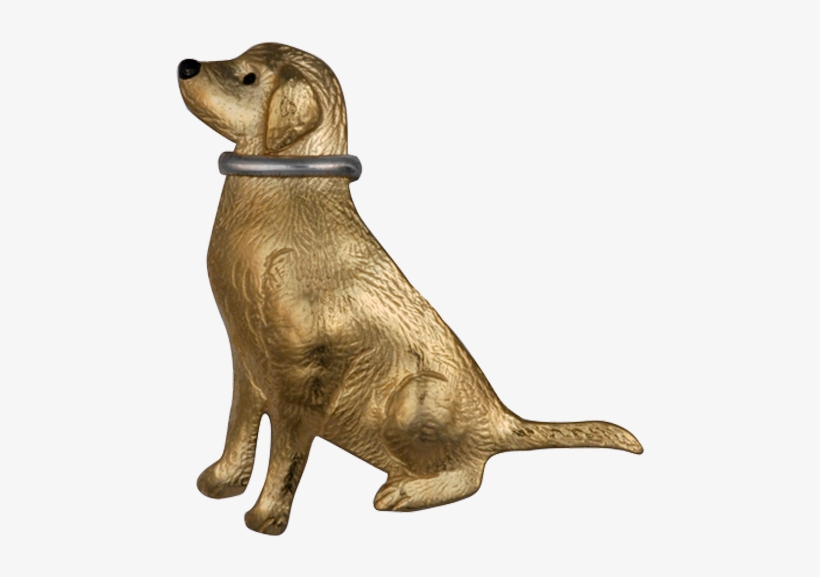 Labrador Retriever, transparent png download