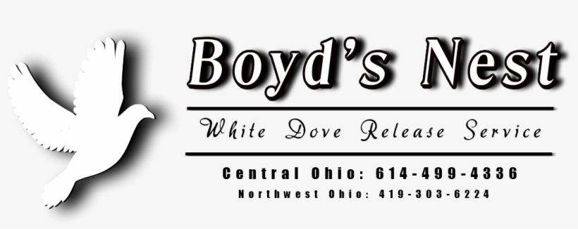 Get In Touch - Calligraphy, transparent png download