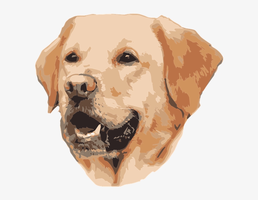 Lapter Dog, transparent png download