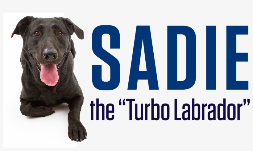 Sadie Will Be With Us In Booth 2411 At - Eastern Oregon University, transparent png download