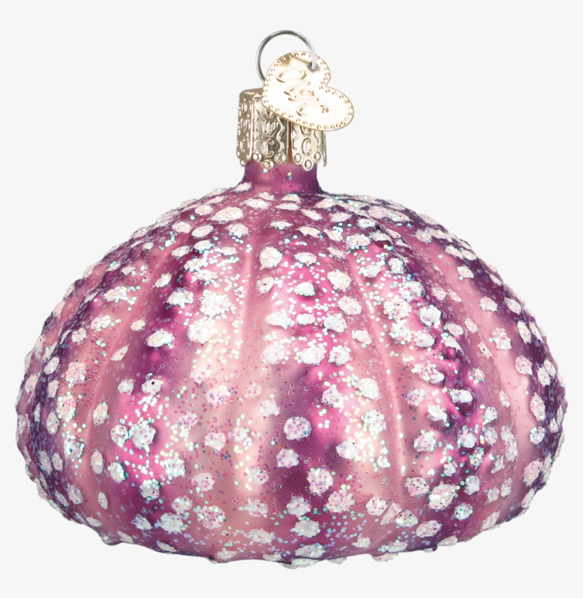 Sea Urchin - Purple - Duck, transparent png download