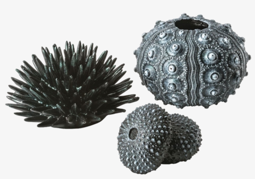 Biorb Sea Urchins Set, transparent png download