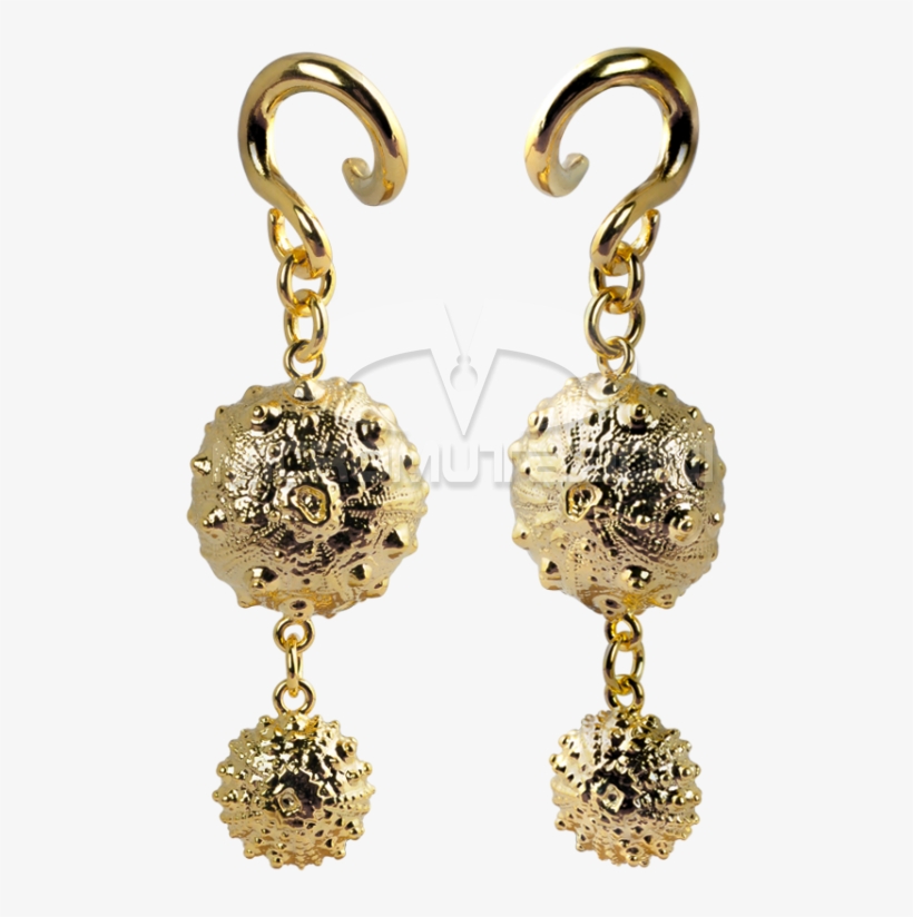 Exoskeleton Sea Urchin Brass Pendant Ear - Earrings, transparent png download