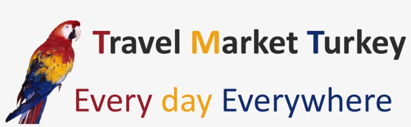 Parrot Animation, transparent png download