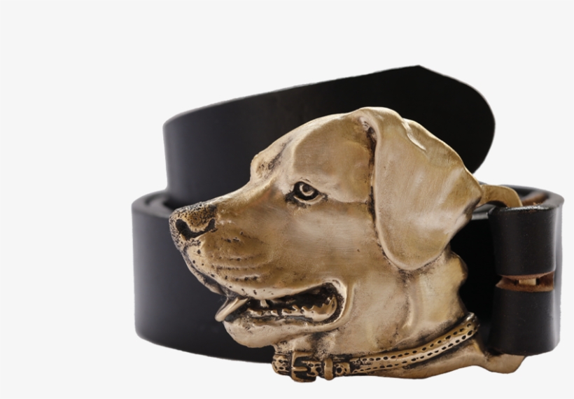 Labrador Retriever, transparent png download