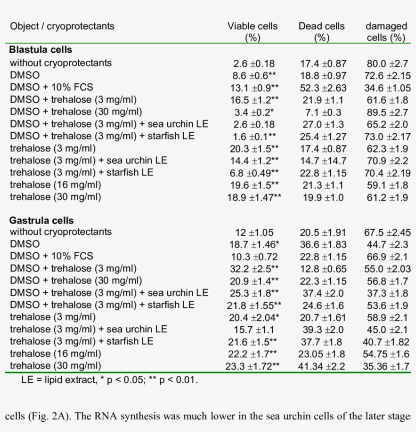 The Viability Of The Embryonic Cells Of The Sea Urchin - Orthodontist Salary, transparent png download