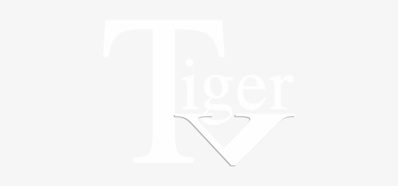 Find Every Episode Of Tigertv On This Page Or Find - Google+, transparent png download