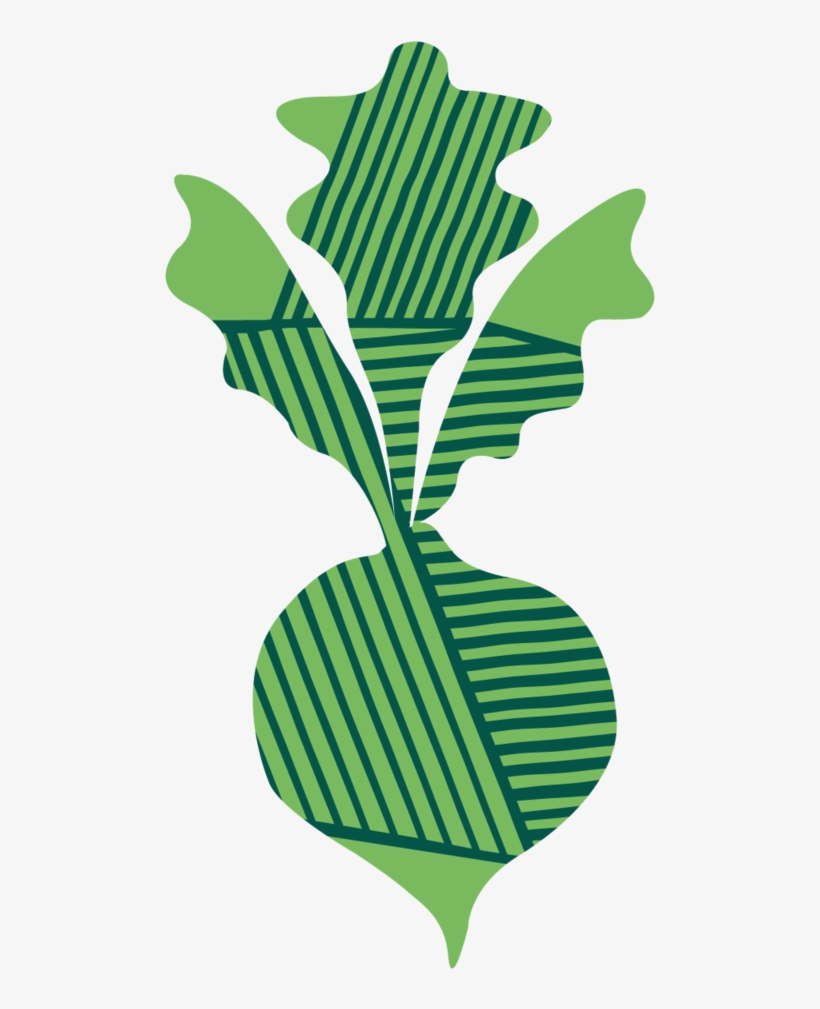 Turnip Clipart , Png Download, transparent png download