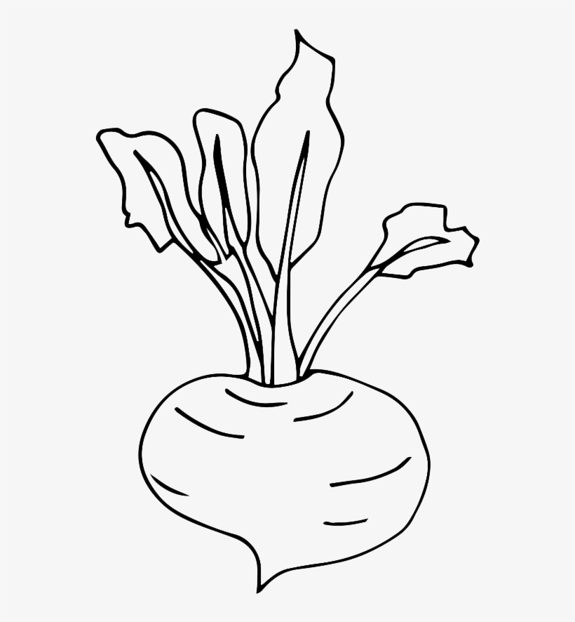 Line Art, transparent png download