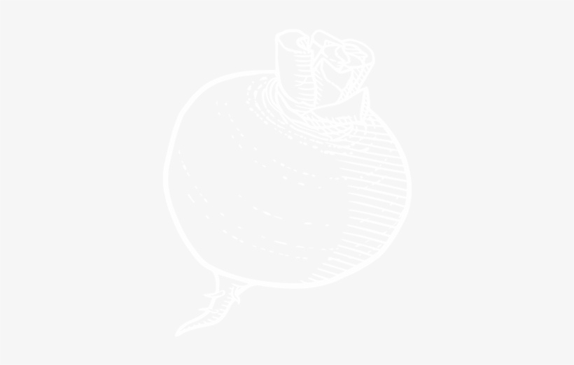 Johns Hopkins Logo White, transparent png download