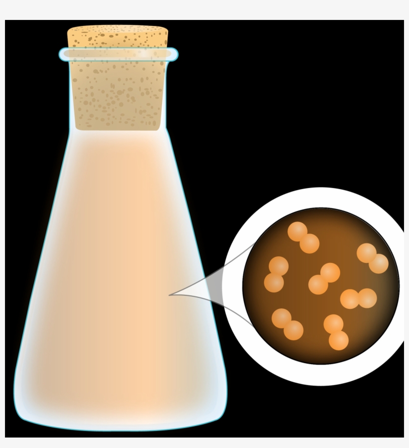 Milk, transparent png download