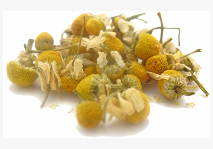 Into The Night, transparent png download