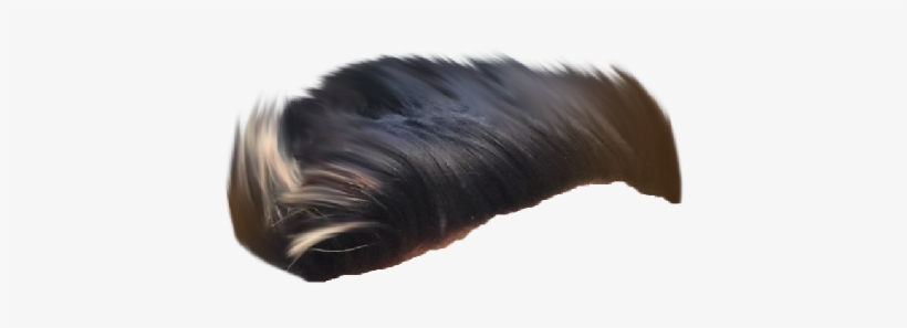 Hair Png ➤ Download - Wig, transparent png download