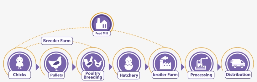 At Sabroso, It's All About Commitment To Health & Quality, transparent png download