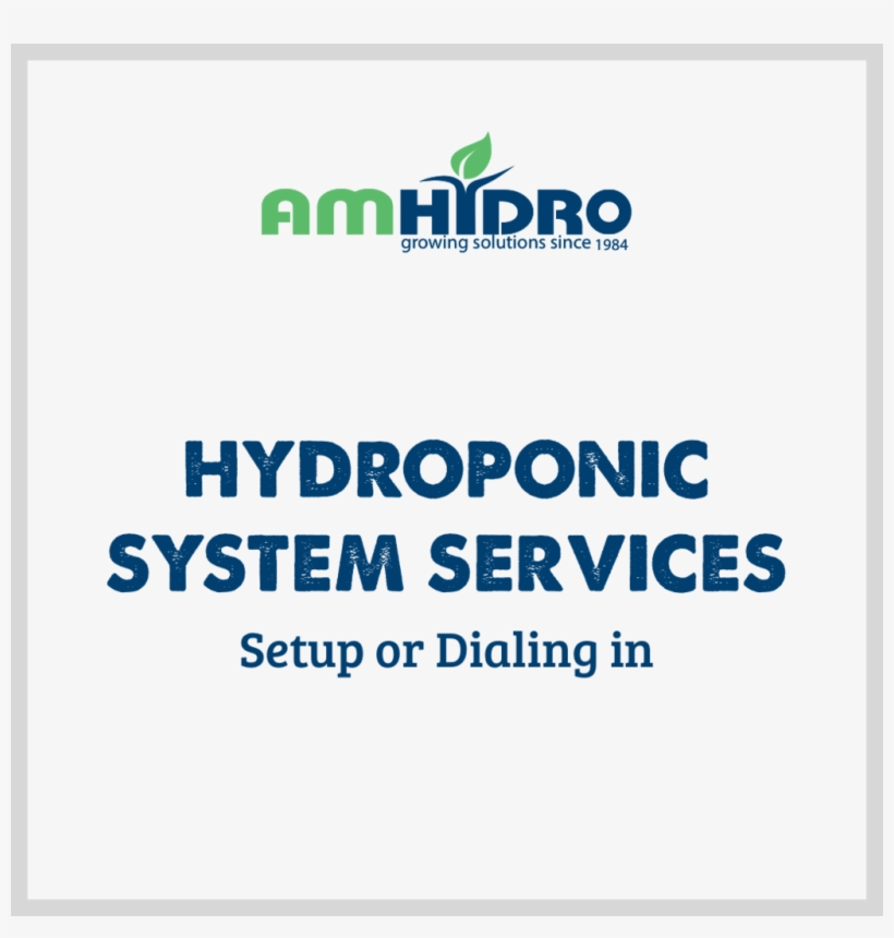 Hydroponic System Services - Art Services, transparent png download