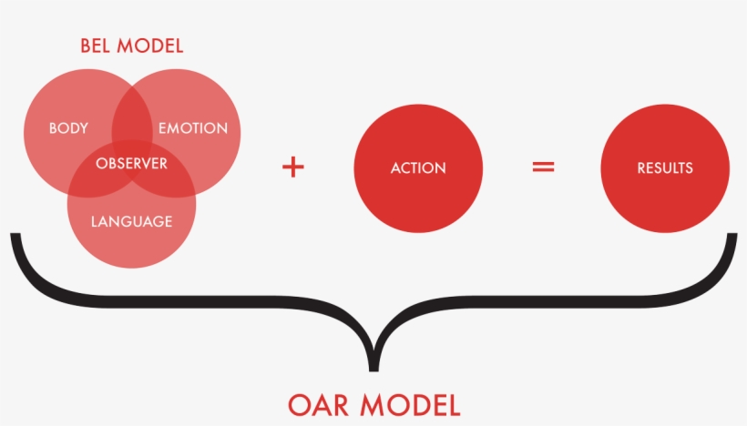 Bolder Moves Oar Model - Oar Model Coaching, transparent png download