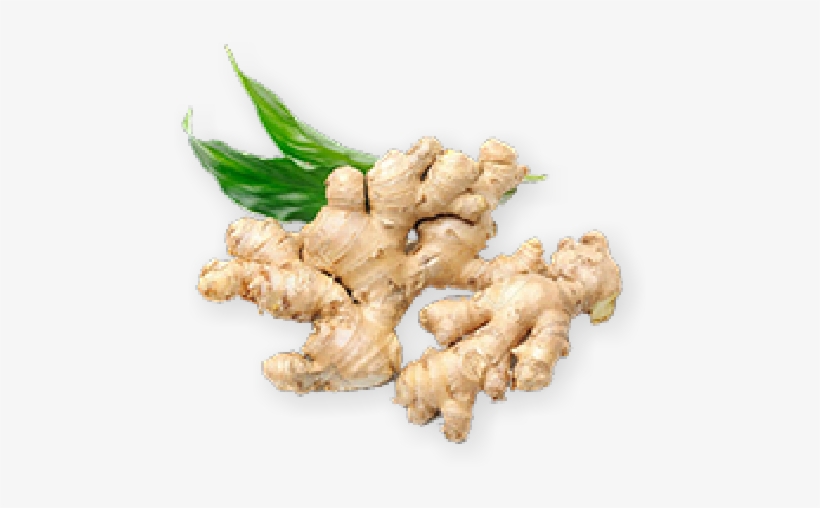 Fresa Healthy Food - Ginger In White Background, transparent png download