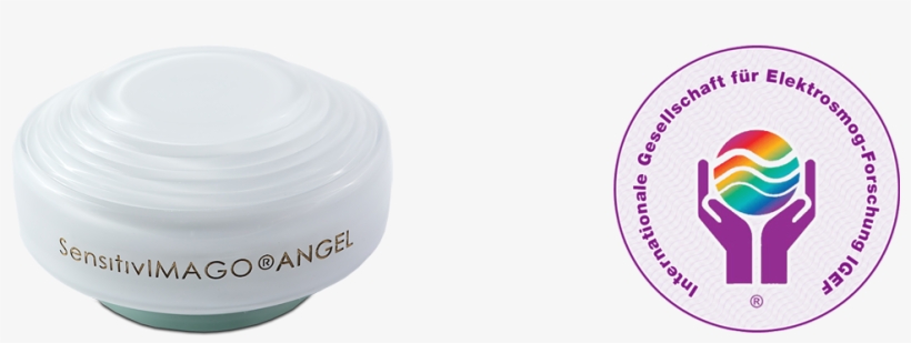 The Results Of A Biophysical Investigation By The Igef - Circle, transparent png download