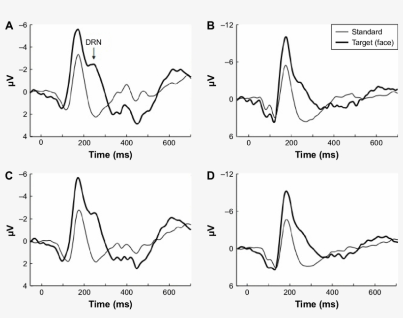 Grand Average Waveforms For Standard And Target (thick - Drawing, transparent png download