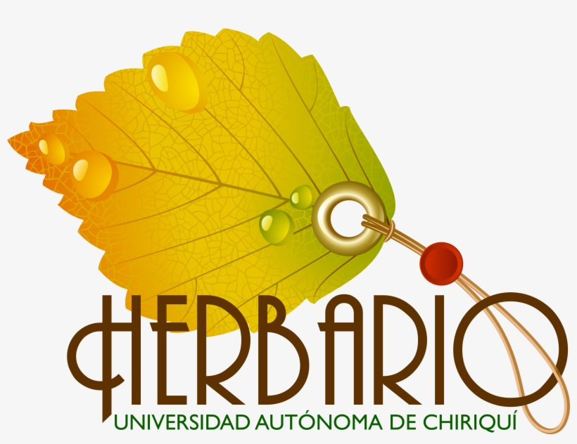 Gaspar Silvera, Panama, Rep - Fondo De Un Herbario, transparent png download