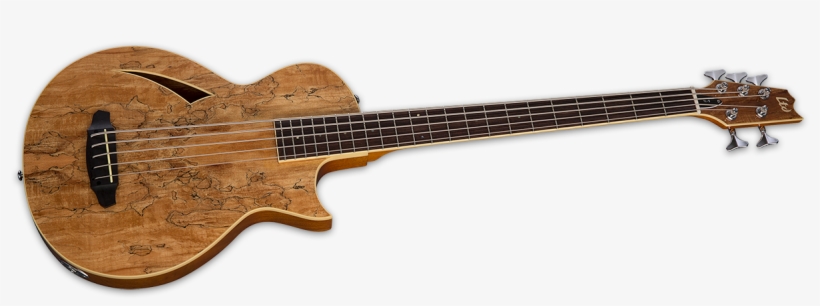 The Ltd Thinline Tl 5sm Is A Five String Bass That - Bass Guitar, transparent png download