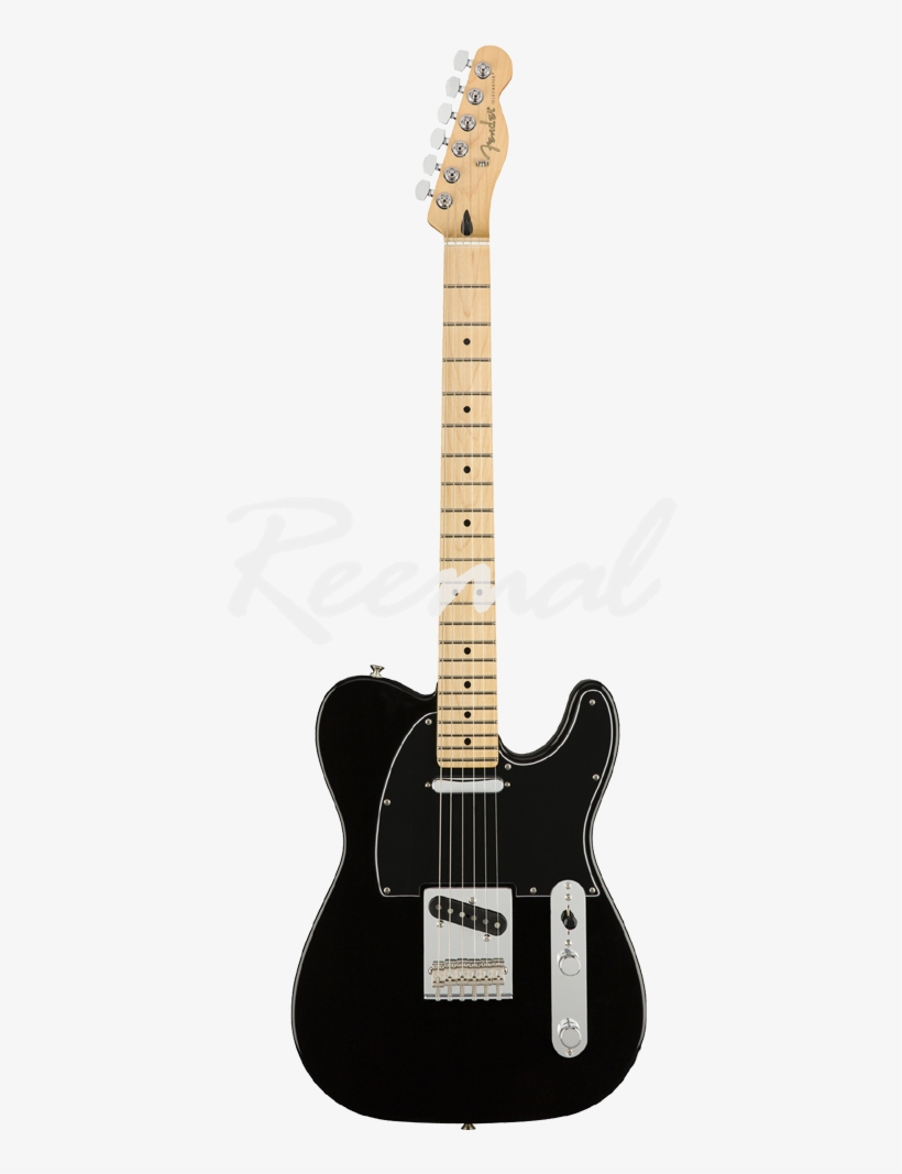 Fender Electric Guitar Player Series Telecaster Maple - Fender Player Series Telecaster Black, transparent png download