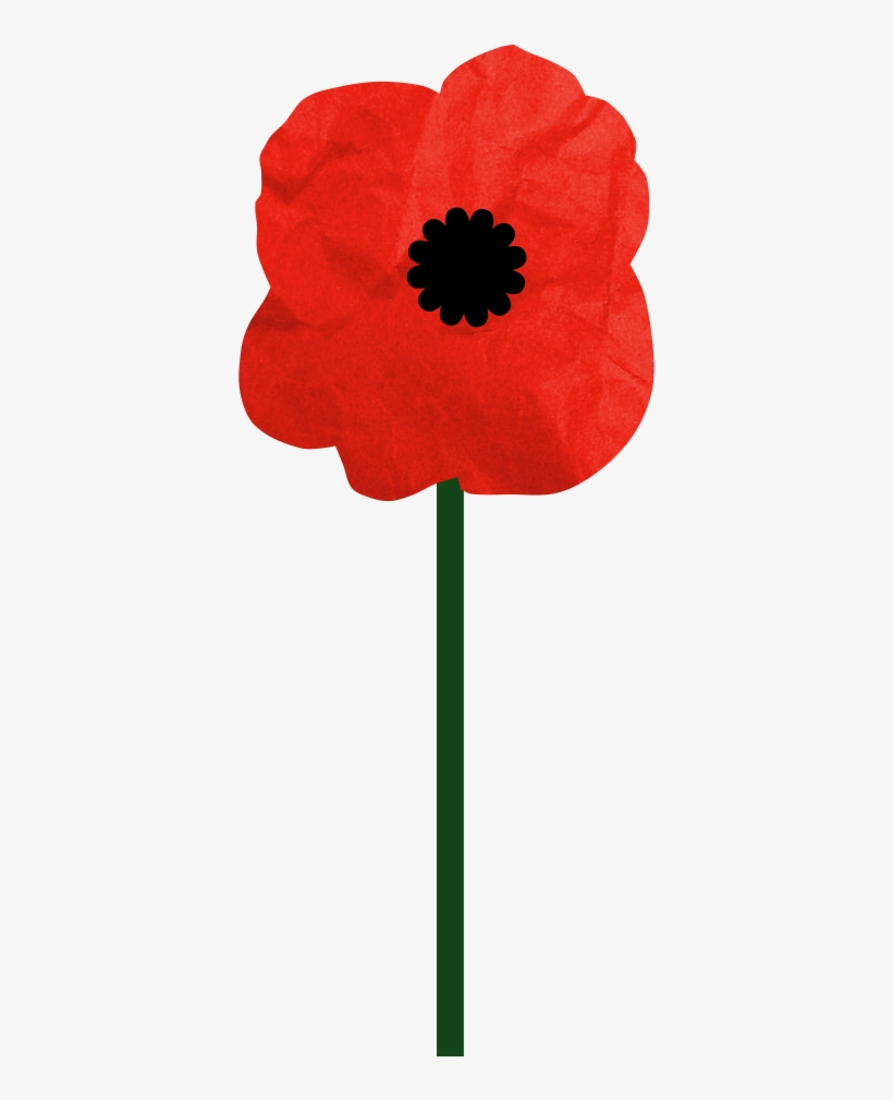 Poppy, transparent png download