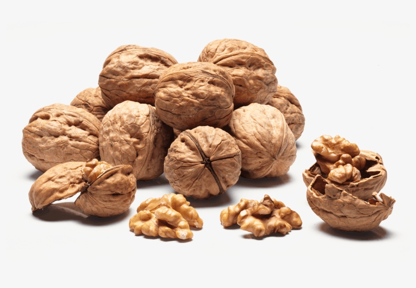 Walnuts Sorrento - Walnut, transparent png download
