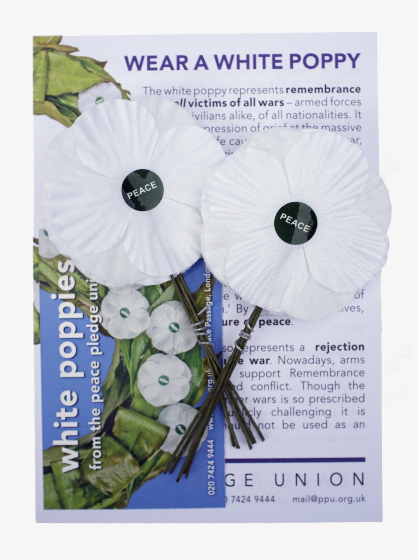White Poppies 10 Pack, transparent png download