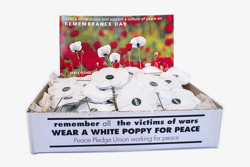 White Poppies &amp, transparent png download