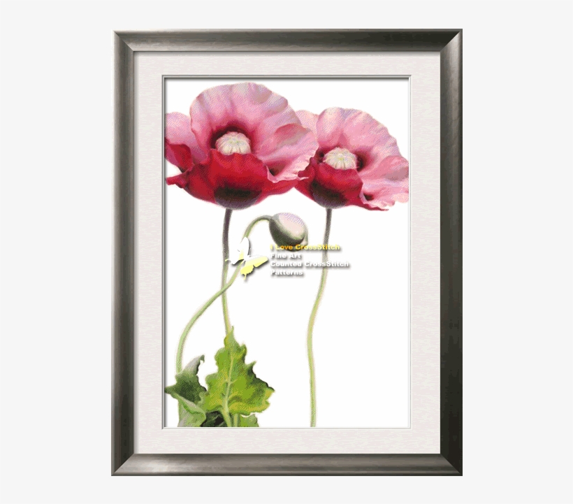 Prev - Poppy, transparent png download