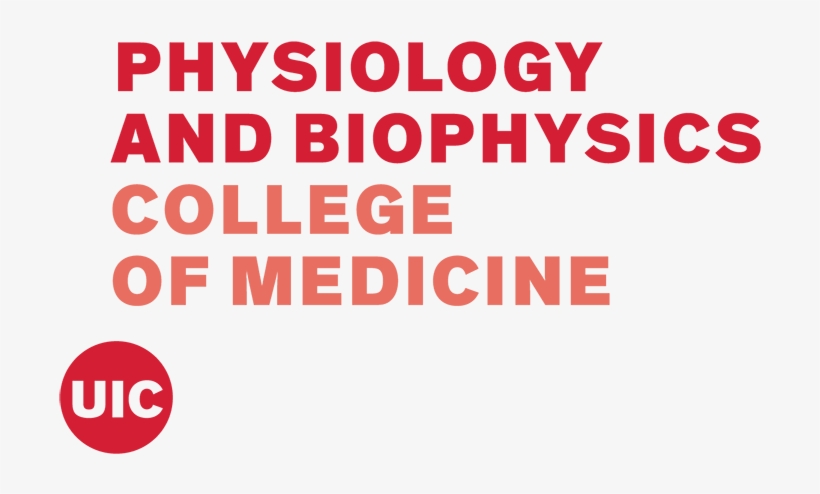 Red - Png - Circle, transparent png download