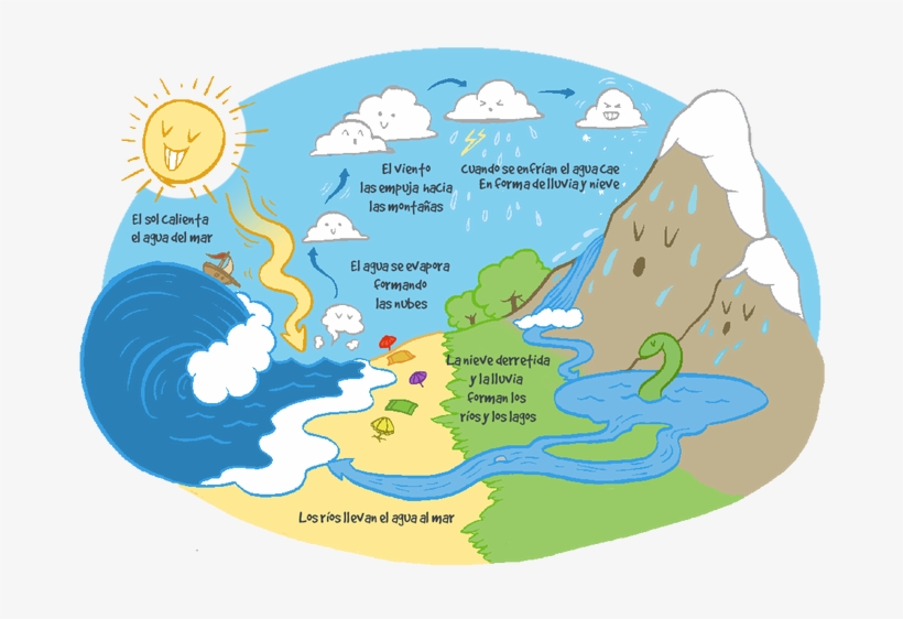 Infografia Del Ciclo Del Agua, transparent png download