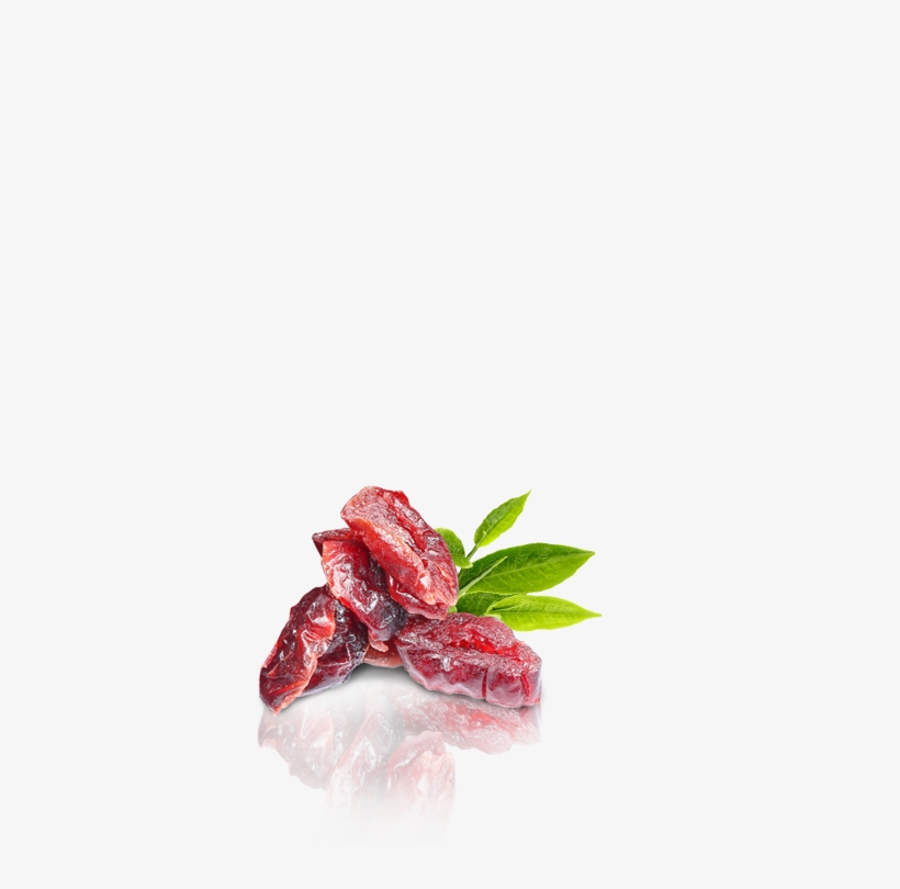 Dried Cranberries - Rosa Glauca, transparent png download