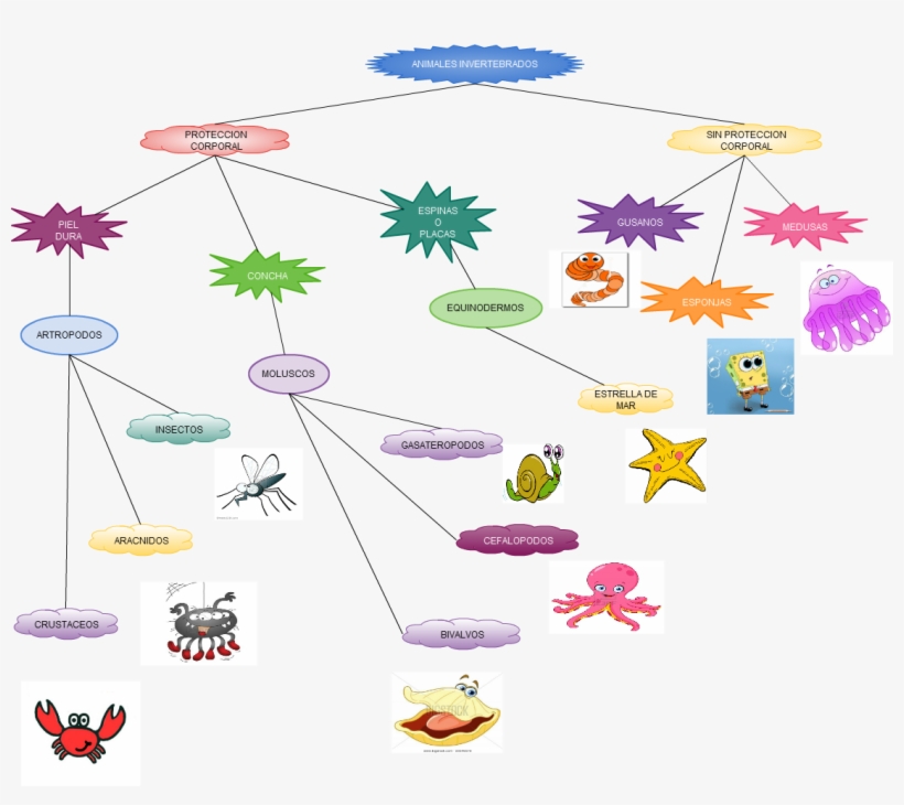 Untitled Animales Invertebrados Proteccion Corporal, transparent png download