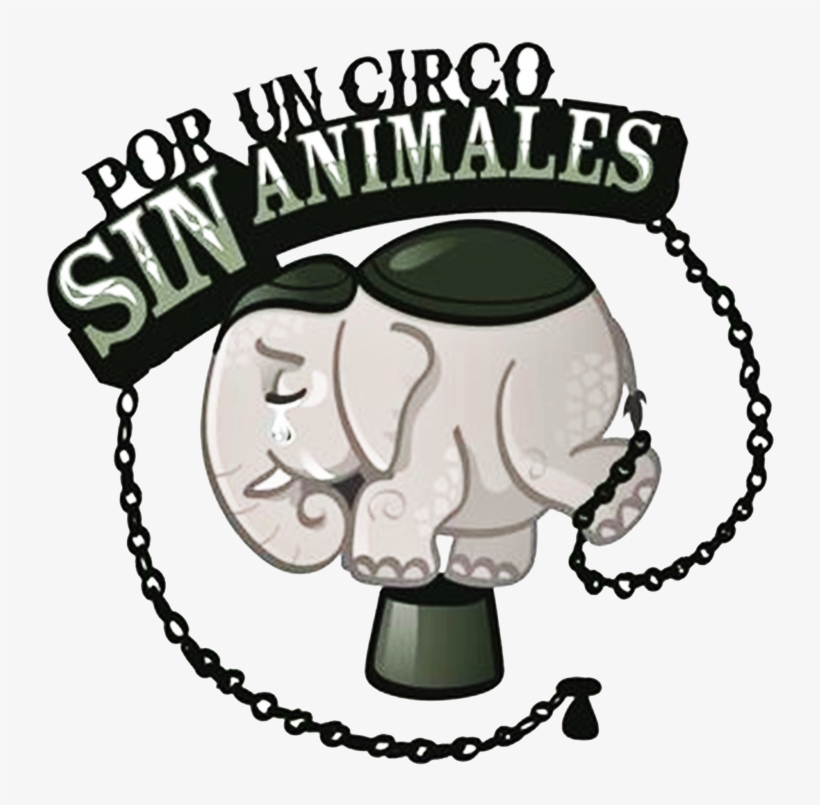 El Domingo 24 De Septiembre De 2017 En Salamanca, Varias - Circo Sin Animales, transparent png download