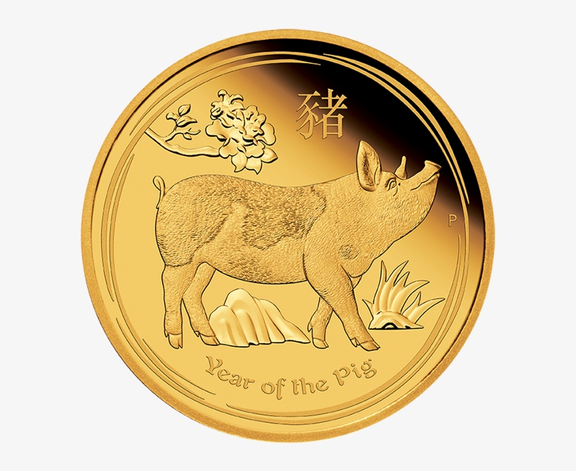 2019 The Year Of The Piggy Bank - Year Of The Pig Gold Coin, transparent png download