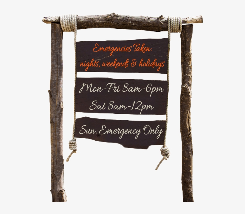 Veterinarian In Jacksonville - Throw Pillow, transparent png download