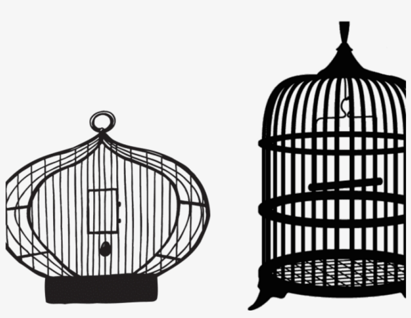 Free Png Download Bird Cage Transparent Background - Bird Cage Transparent Background, transparent png download