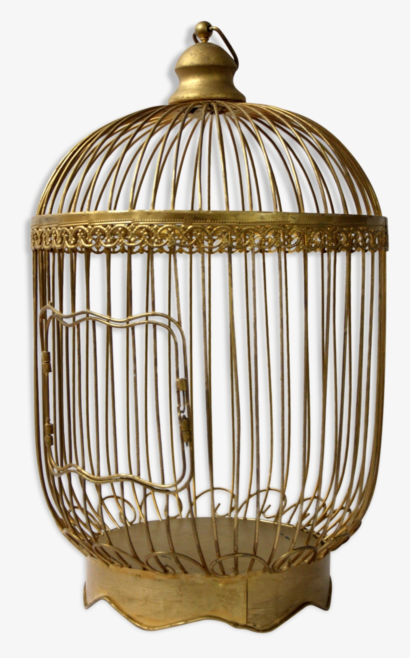 Cage, transparent png download