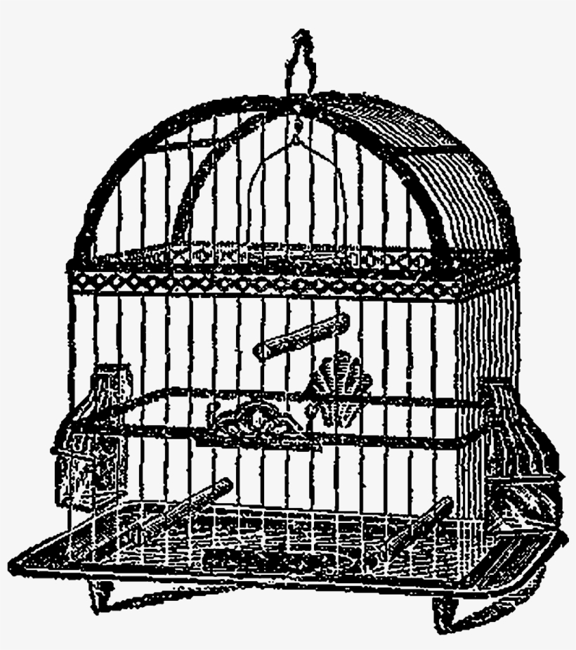 Digital Birdcage Downloads - Cage, transparent png download